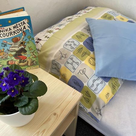 Penzion Slunecnice Dvůr Králové nad Labem Екстериор снимка