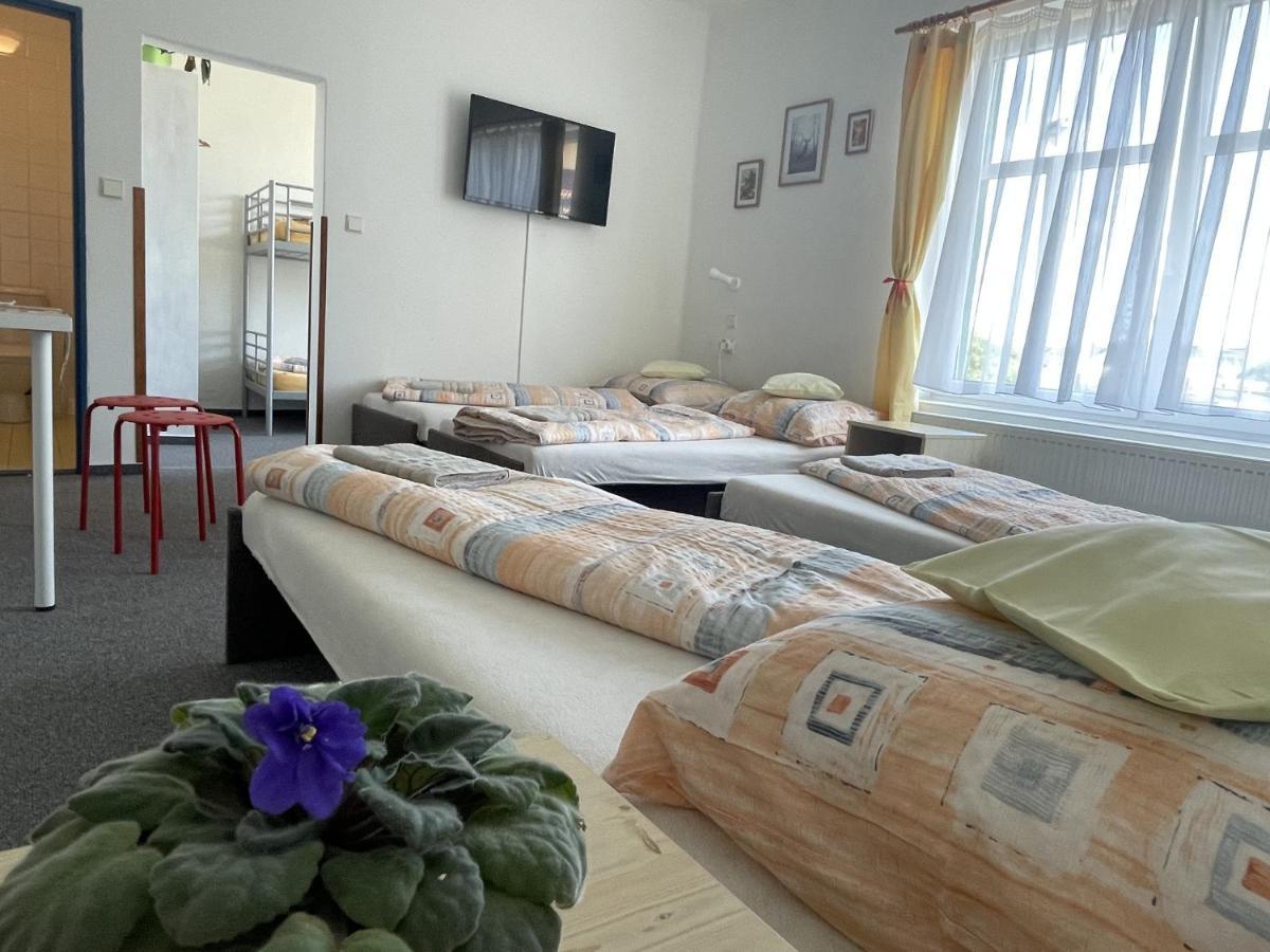 Penzion Slunecnice Dvůr Králové nad Labem Екстериор снимка