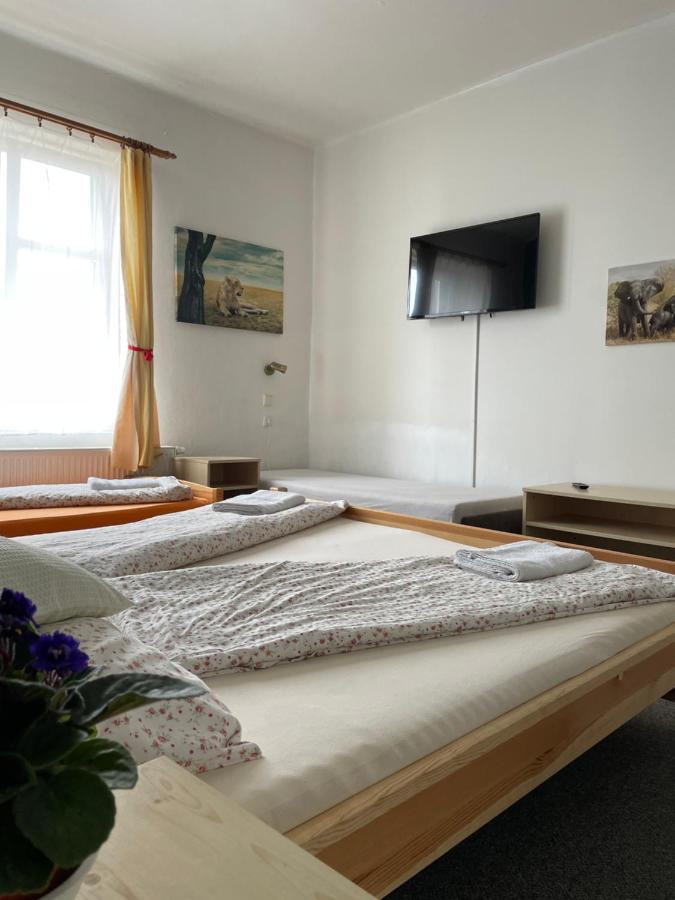 Penzion Slunecnice Dvůr Králové nad Labem Екстериор снимка